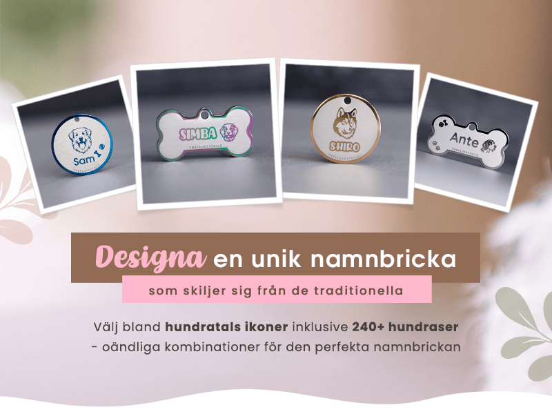 4 namnbrickor, hundbensformade och runda i blå, multifärg, guld, silver och roséguld med olika designer och hundraser, pyrenéer, goldendoodle. siberian husky, beagle och portugisisk vattenhund.