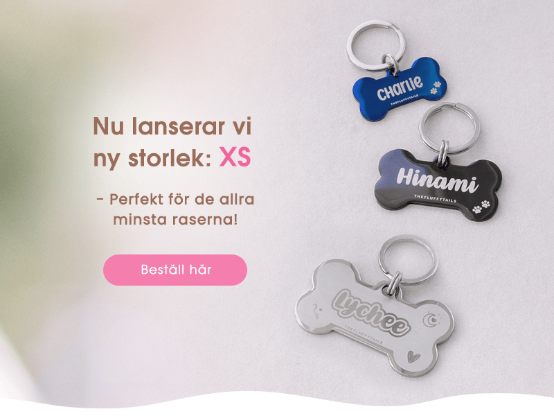 Banner med fyra hundbensformade namnbrickor i svart, silver och blå samt text om nyheten namnbrickor lanseras i storlek XS - perfekt för de allra minsta raserna