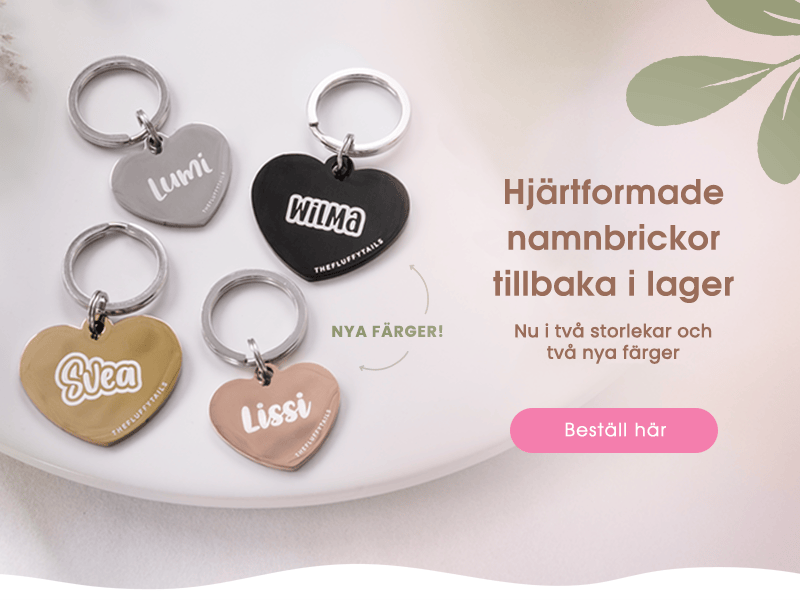 Banner med fyra hjärtformade namnbrickor i svart, silver, roséguld och guld samt text om nyheter: XS-storlek och hjärtbrickor i nya färger