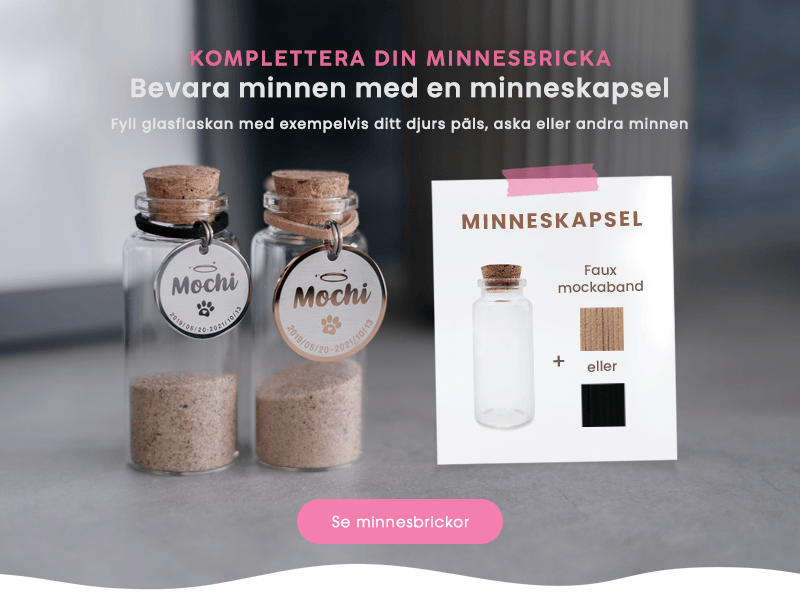 2 glasflaskor (minneskapslar) med runda minnesbrickor (en silver och en roséguld) runt flaskhalsen
