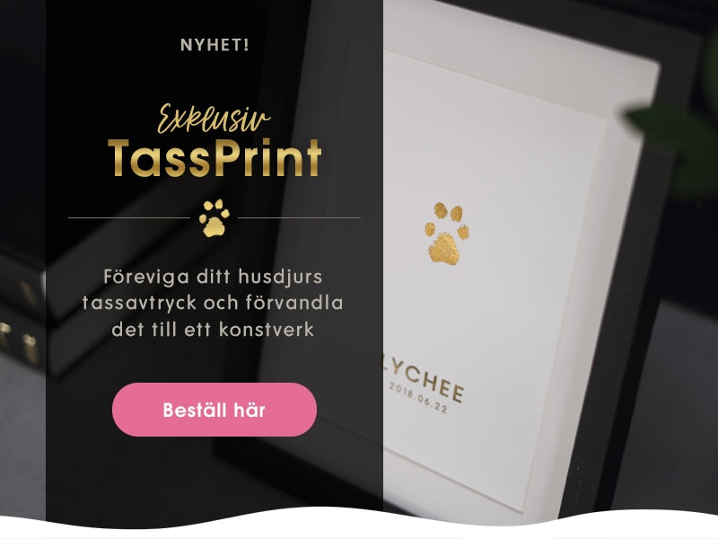 Banner med nyheten Tassprint, folierad print med hundens eller kattens tassavtryck samt 2 tavlor på folierade tassavtryck i silver och guld