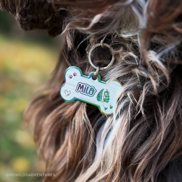 Närbild på en brun cockerspaniel sp, bär på en hundbensformad, flerfärgad namnbricka av rostfritt stål med egen design och gravyr, tillverkad av The Fluffy Tails