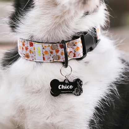 Närbild på en Jack Russell-terrier med blommigt halsband och svart hundbensformad graverad med somrig design, vita växter och namn i skrivstil-typsnitt