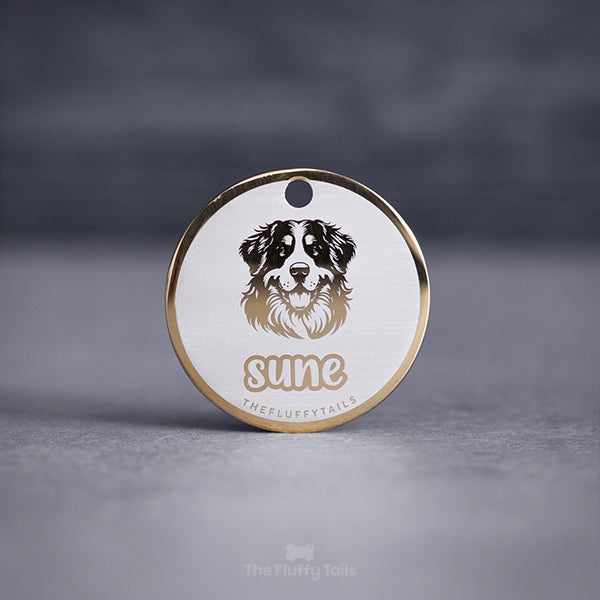 Guldig, rund namnbricka med ljus bakgrund och gravyr på en berner sennen hund