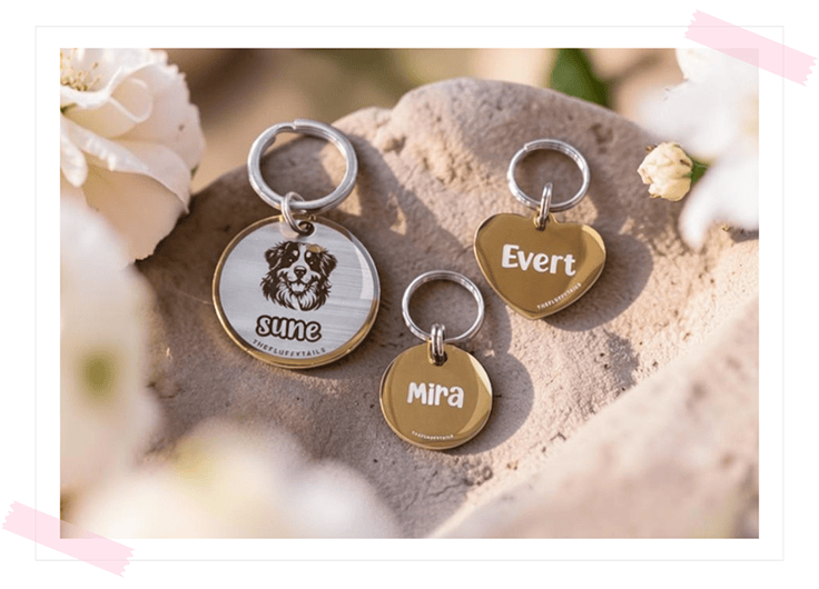 Graverade hundbrickor av rostfritt stål i guld, personliga namnbrickor med namn och hundmotiv av hundrasen berner sennen i rund och hjärtformad design.