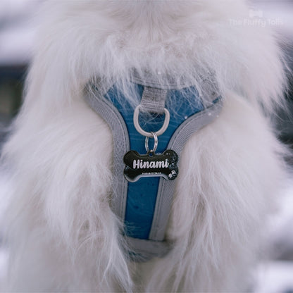 Vit hund av hundrasen pomeranian, sittandes på en bänk i vintermiljö med snö. Hunden har på sig en blå hurtta sele med en svart namnbricka av rostfritt stål i hundbensform, graverad med namn och tassavtryck.