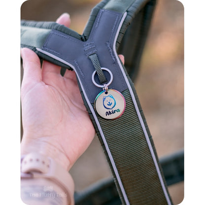 Mörkgrön hundsele med rund namnbricka med motiv av en samojed