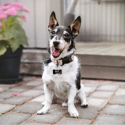 Jack Russell-terrier hund i trädgårdsmiljö med blommigt halsband och svart hundbensformad namnbricka med somrig design