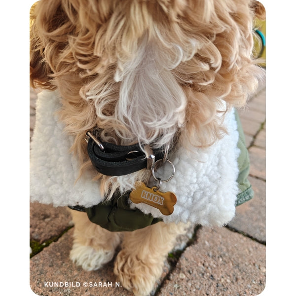 BASIC Hundben - Guld