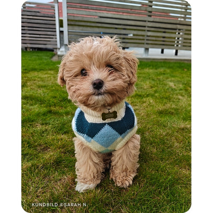 En maltipoo valp i en trädgård. Den sitter och kollar mot kameran och har på sig en stickad tröja och en hundbensformad, guldig namnbricka från The Fluffy Tails, graverad med sitt namn.