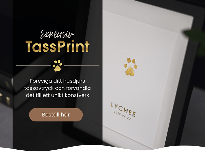 Banner med text och bild på TassPrint med guldigt folietryck 