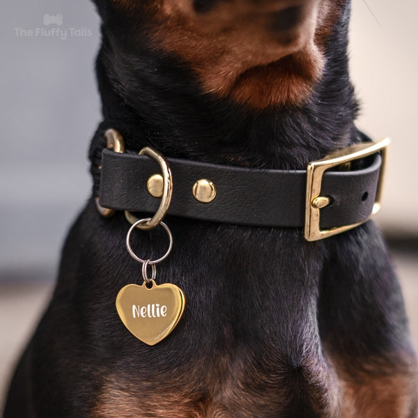 Närbild på svart halsband i biothane med guldiga nitar och en guldig namnbricka i hjärtform