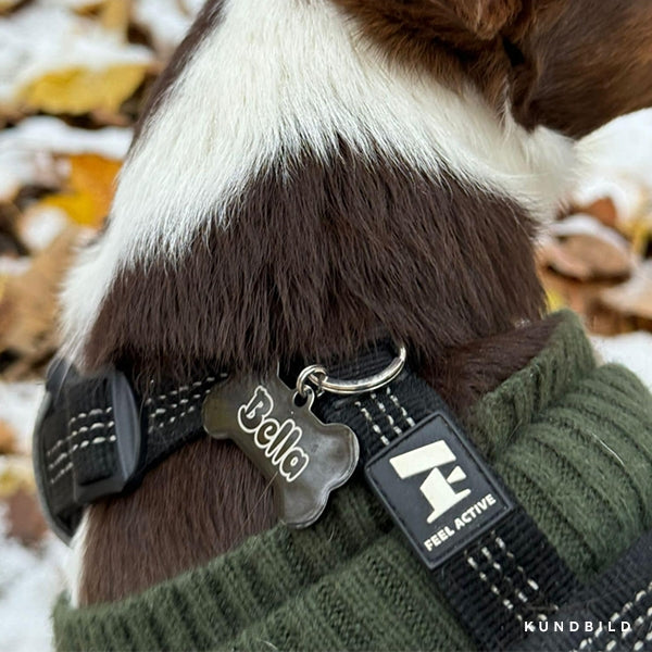 Närbild på en hund med svart hundsele från feel active, arken zoo med en svart namnbricka