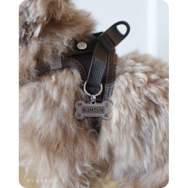 Brun liten toypudel i en brun hundsele med namnbricka med personlig gravyr och egen design