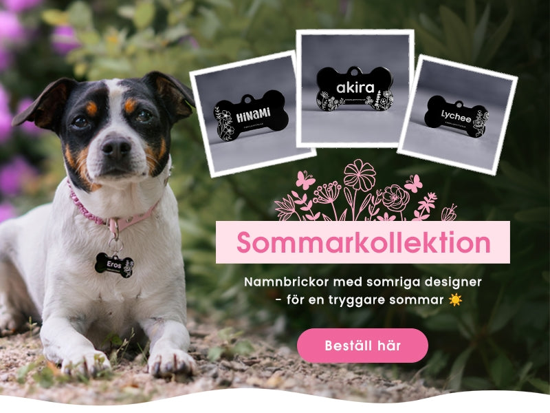 Somrig banner med hund som bär svart namnbricka från The Fluffy Tails samt flera exempel på sommarkollektionens blommiga designer för hundar.